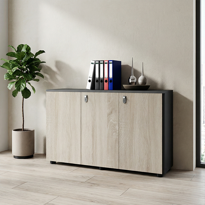 壁面収納｜ダイヤル錠付き モダン 高セキュリティ